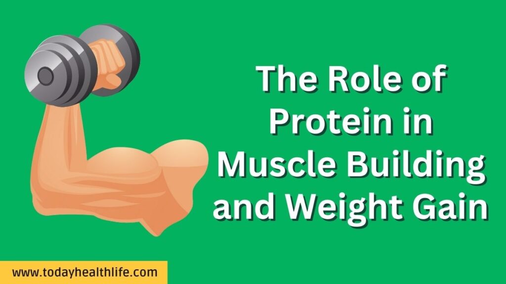 The Role of Protein in Muscle Building and Weight Gain